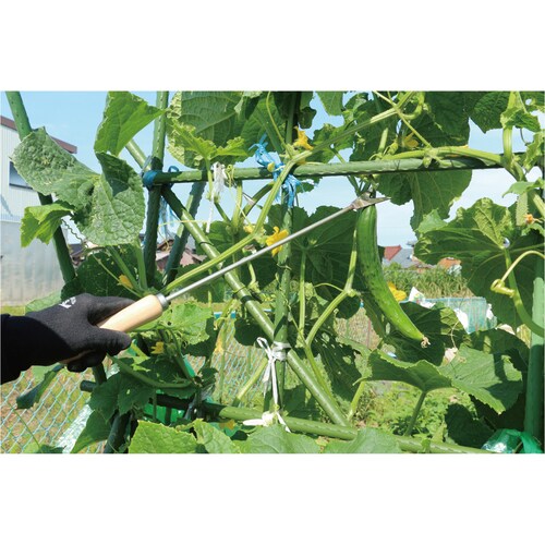 ステン収穫鎌Y型 30x55mm