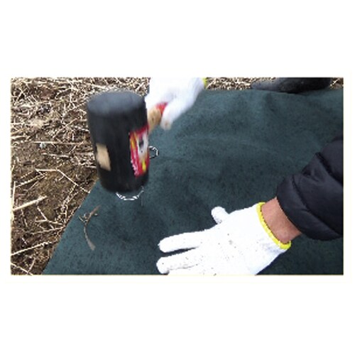 フラット杭φ50xL200100入