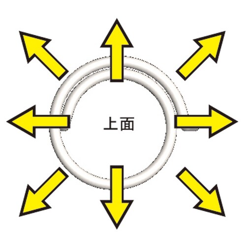 フラット杭φ50xL300100入
