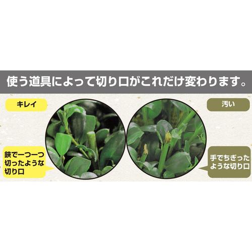 高枝電動バリカンショート チップレシーバー付