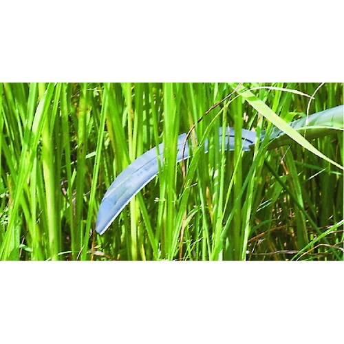 角度変更のできる鎌(草刈刃)2段伸縮柄