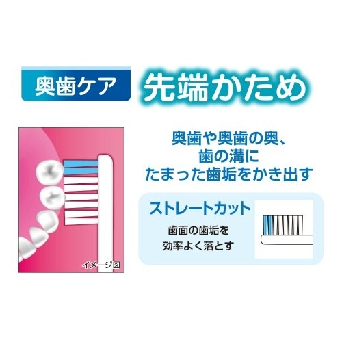 メディフィット歯ブラシ ふつう×12