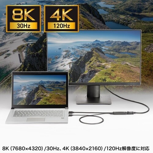 HDMI−DisplayPort変換アダプタ