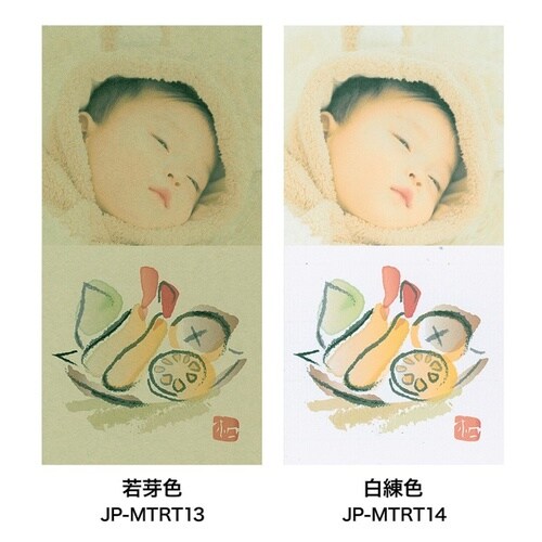 和紙  若芽(わかめ)色