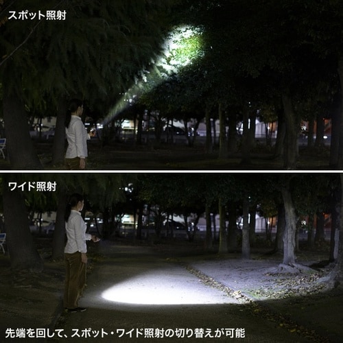 ペン型ライト(ショートタイプ)