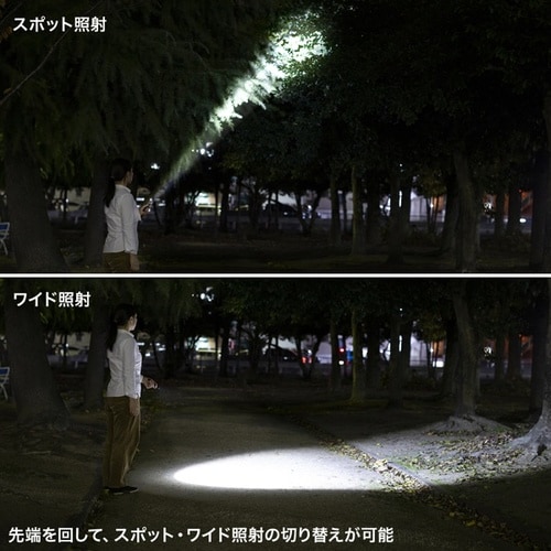 ペン型ライト(ロングタイプ)