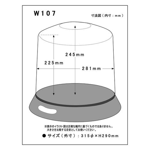 コレクションケース W107