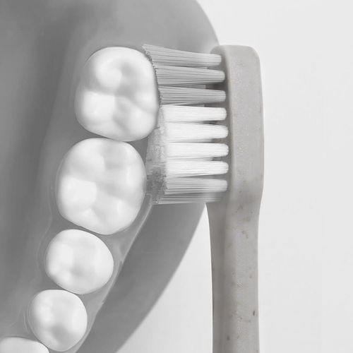 fitハブラシ カーブ グレー 8セット