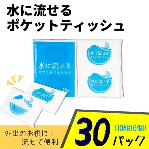 AST水に流せるポケットティシュ−10W16P