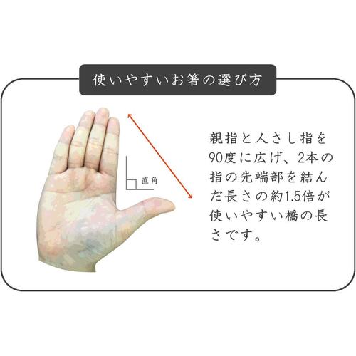 箸 飛鳥 ブルー 23.5cm 2セット