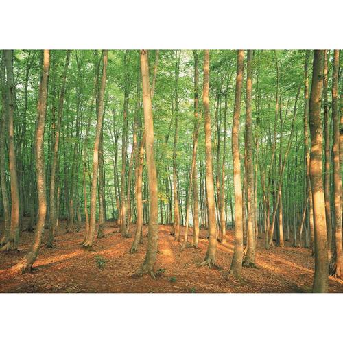 食洗箸 流星 ブルー 3セット