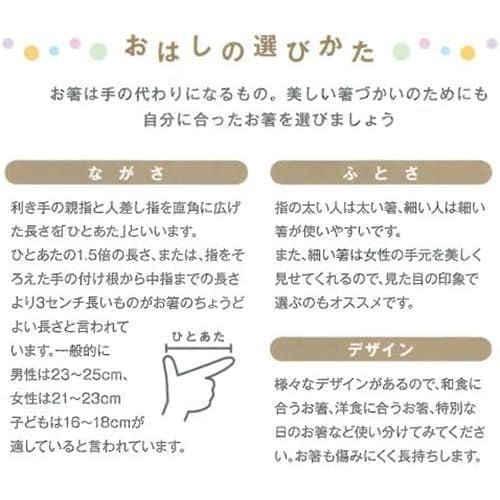 箸 日本伝統色 茄子紺 2セット