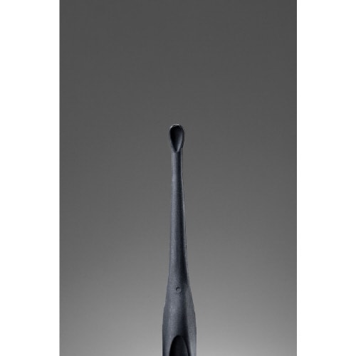 耳かきブラック