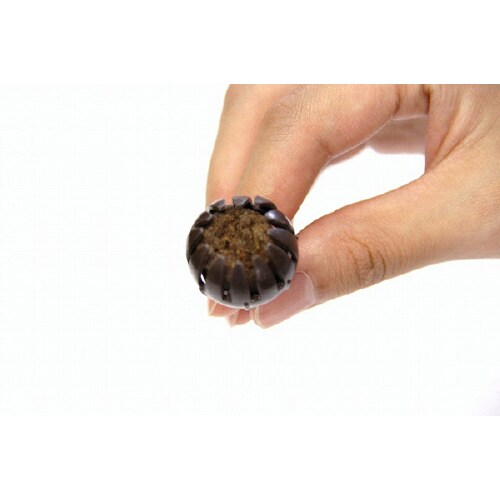 プチドームS10個入