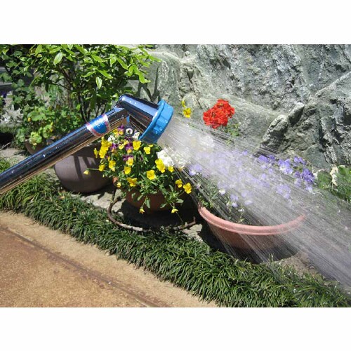 BCコックタイプ