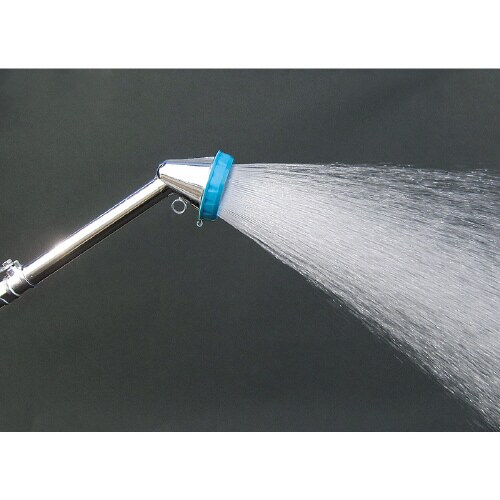 BCコックタイプ