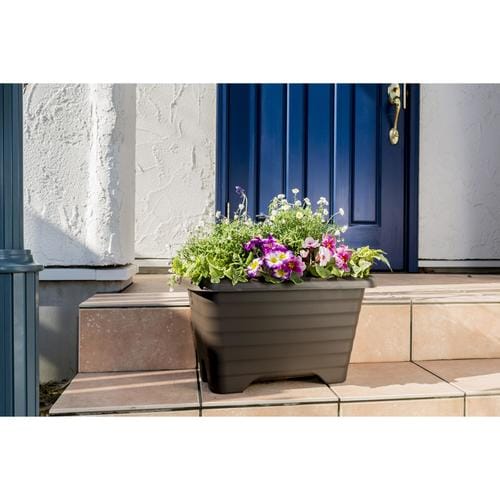 エアープランター 450 グレイッシュブラウン