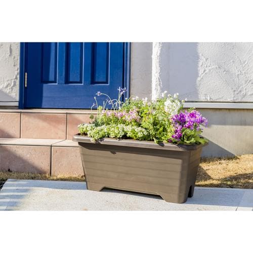 エアープランター 600 グレイッシュブラウン