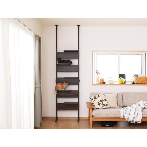 キャットステップ ウォールナット