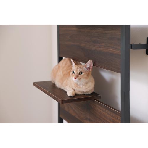 キャットステップ ウォールナット