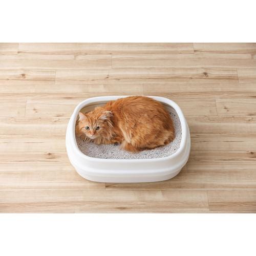 クリーンサンド 5L ハミングシトラスの香り