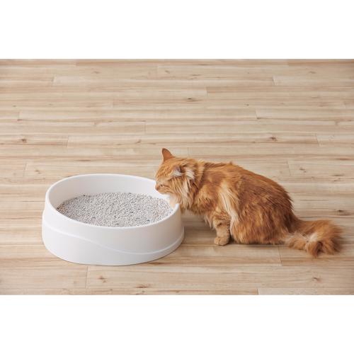 クリーンサンド 5L ハミングシトラスの香り