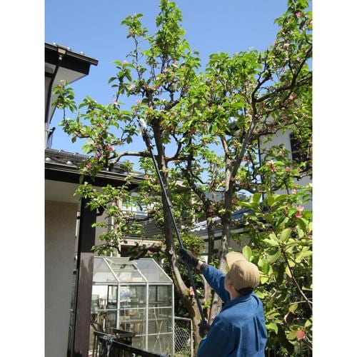 充電式高枝剪定バサミ