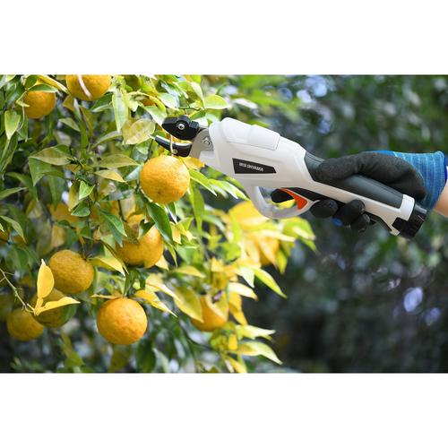 充電式高枝剪定バサミ