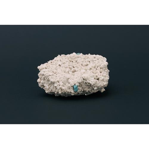 ネオクリア猫砂5L