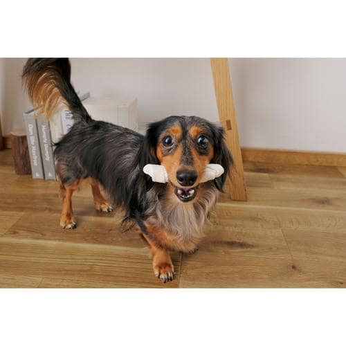 骨型ガムミルク味Sサイズ40本