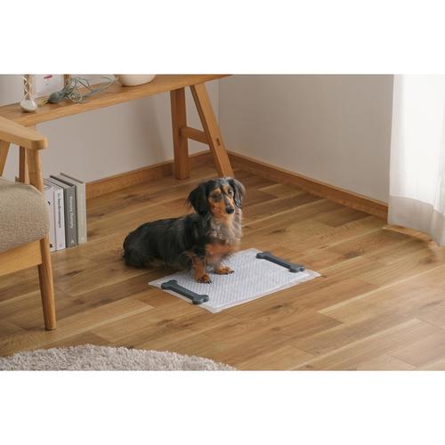 ペットシーツ用文鎮 ダークグレー