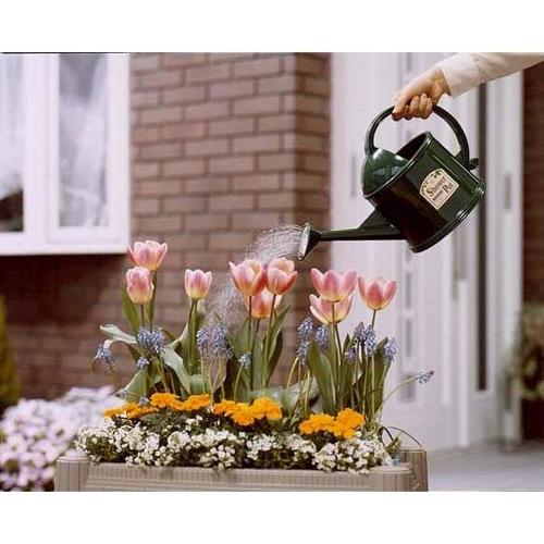 シャワーポット 3.8L グリーン