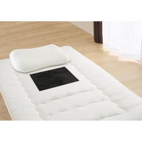 ダニEND アレル物質トラップシート 3枚入