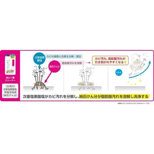 塩素系洗たく槽クリーナー 2個