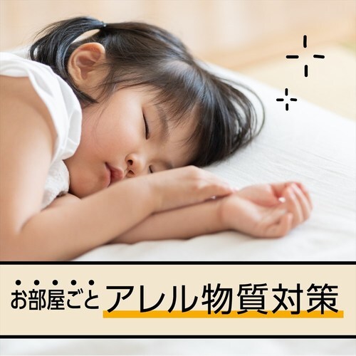 マモルームハウスダスト花粉用 取替え 4個