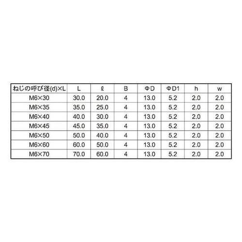 ニッケル JCB−C(六角穴D13 6