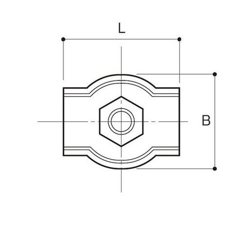 CNbv