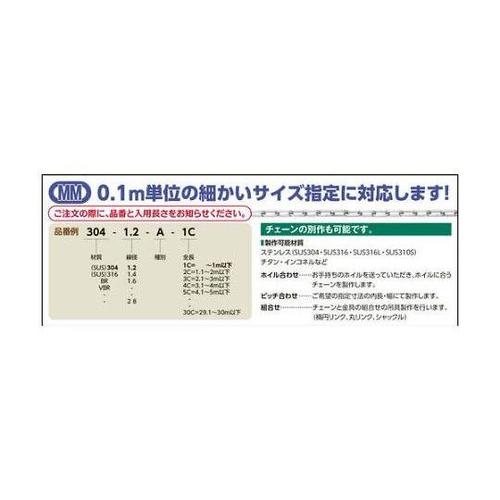 30412A1C チェーン0から1m