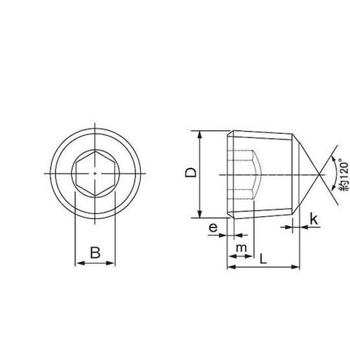 プラグ(沈み(日星 PP2 PP2 1/