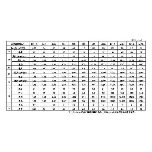 10.9 CAP 日産ネジ 20×100