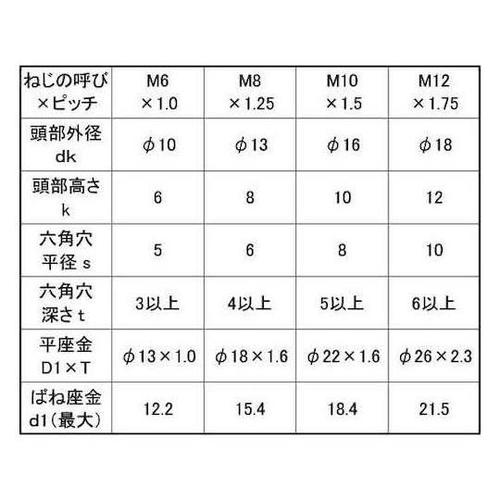 ステンCAP P=3 光精工製 6×20