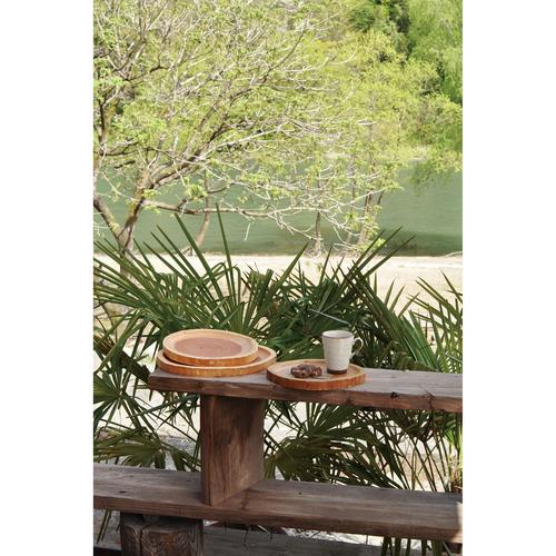 Soma ディッシュ