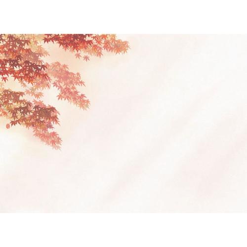 おふたりさまセット