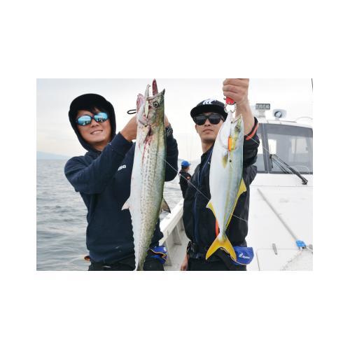 バーサタイルメタルジグ