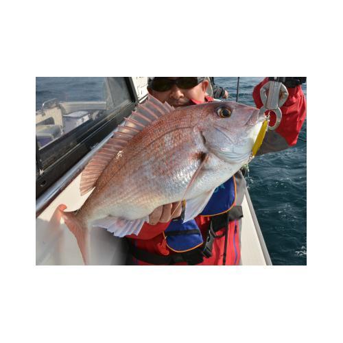 バーサタイルメタルジグ