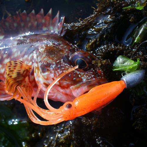 プニイカ3インチ