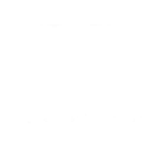 グラフィティー ウォール&アザーズ