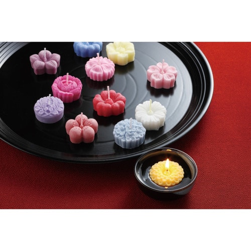 あかりの花めぐり