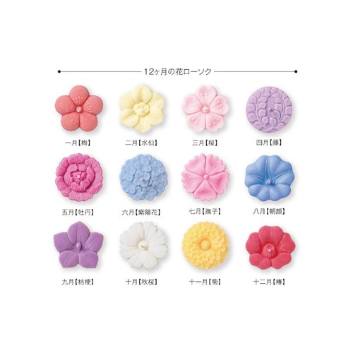 あかりの花めぐり