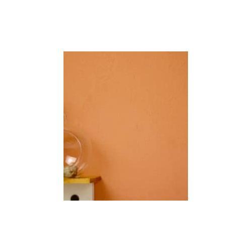 FINISH ONE 珪藻土